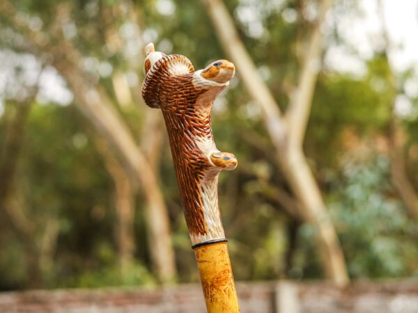 Handcrafted Wooden Walking Stick with Deer Antler Handle | Artisan Antler Grip Cane