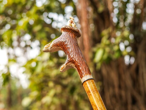 Handcrafted Wooden Walking Stick with Deer Antler Handle | Artisan Antler Grip Cane