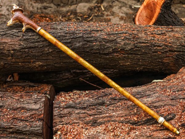 Handcrafted Wooden Walking Stick with Deer Antler Handle | Artisan Antler Grip Cane