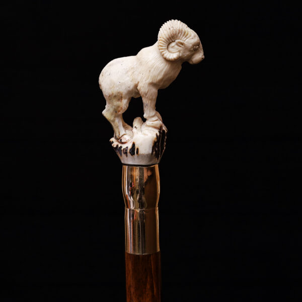 Handcrafted Wooden Walking Stick with Ram Horn Handle – Rustic Curved Horn Cane for Hikers, Collectors & Tribal Gifting